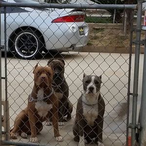 Meet your Posher, Karla